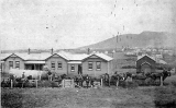 Horse Power in front of Waihi Central School